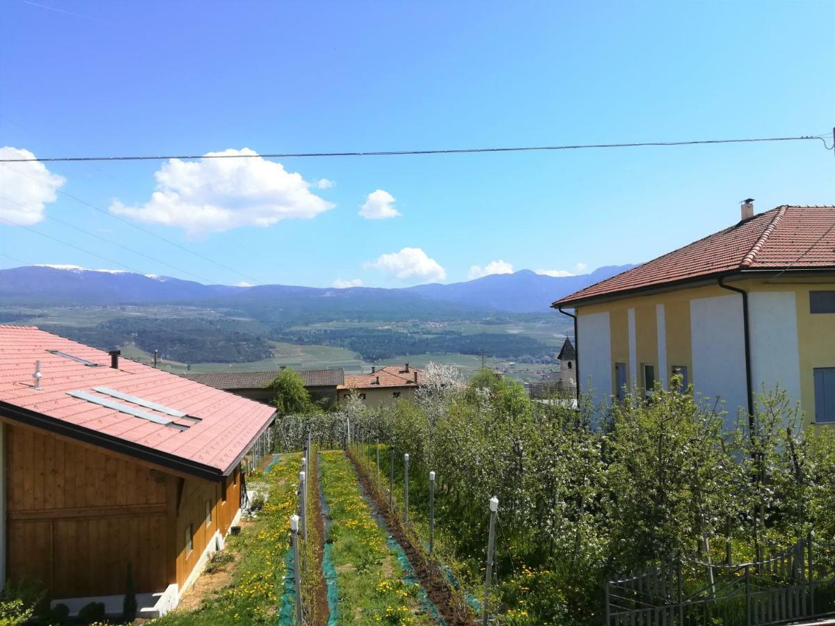 Melax Tassullo